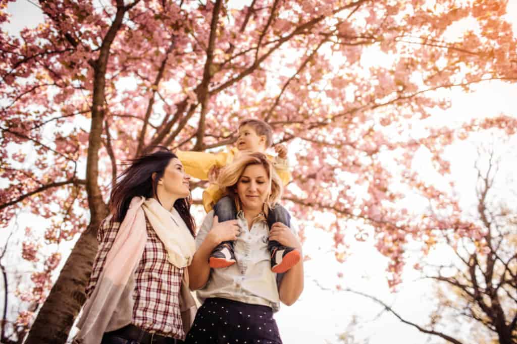 What is Gay Adoption and How Does it Work?