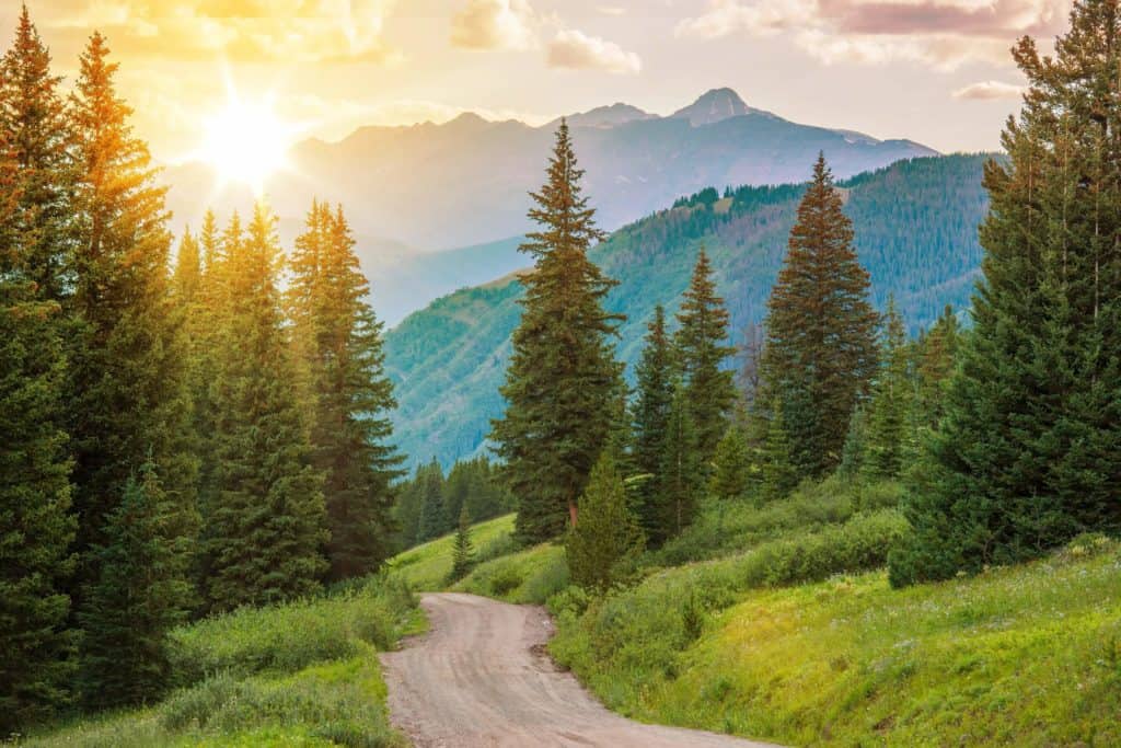 How to Adopt in Colorado
