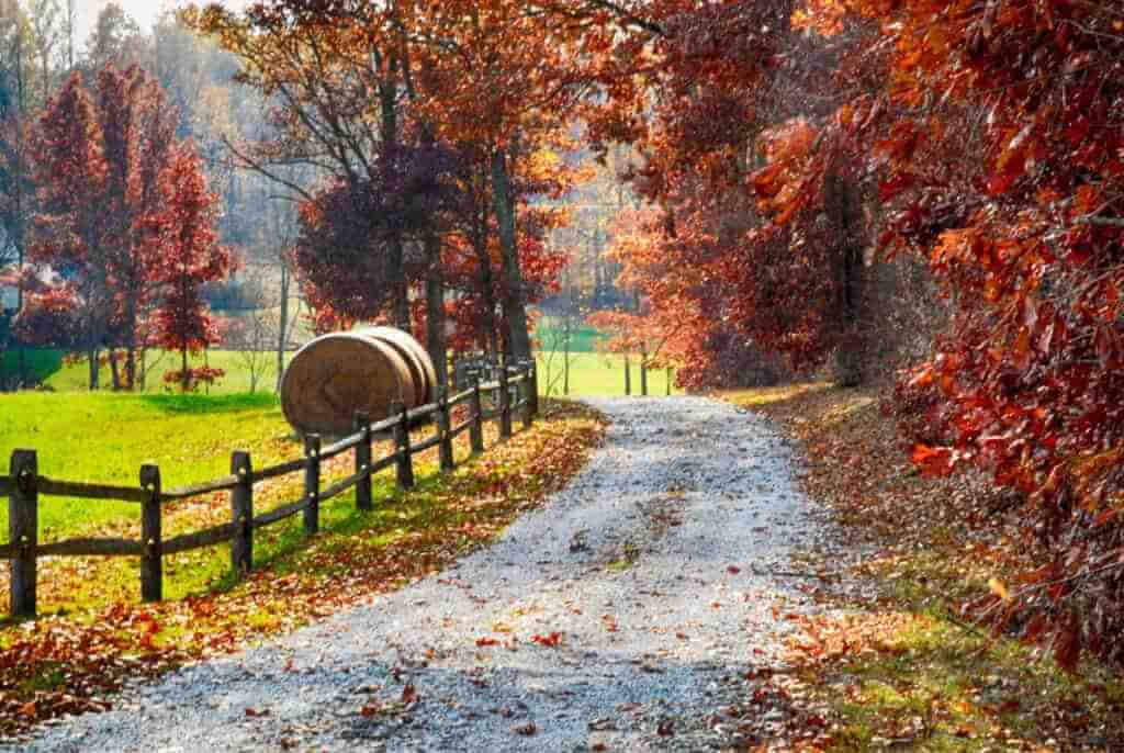 Indiana