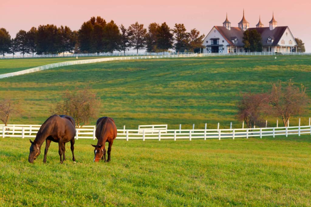 How to Adopt in Kentucky