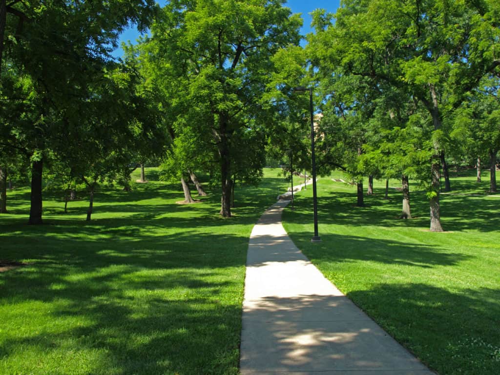 Lawrence Adoption & Foster Care Resources