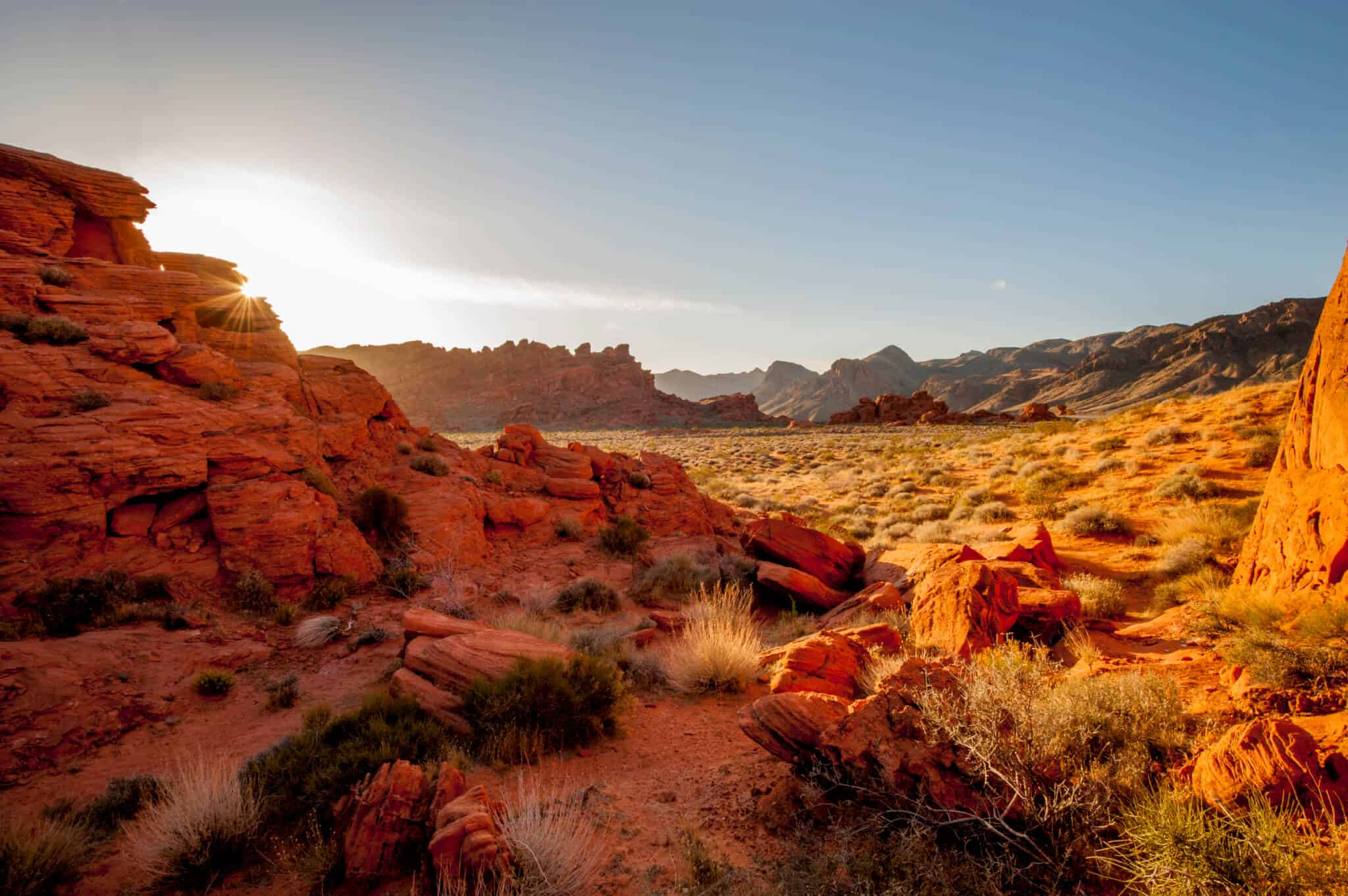 Nevada