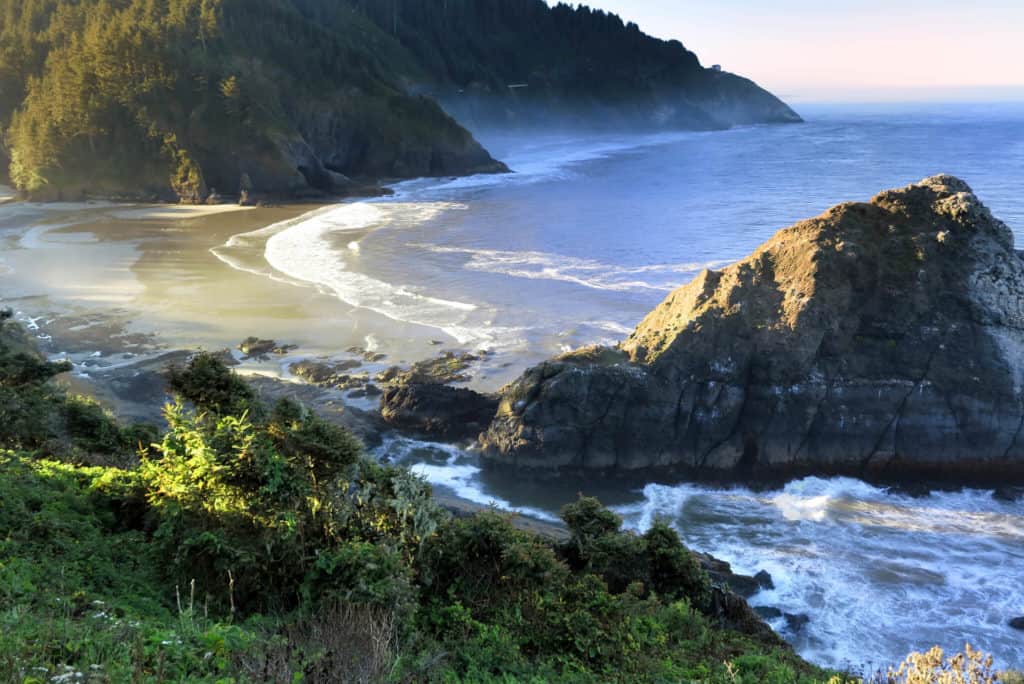How to Adopt in Oregon