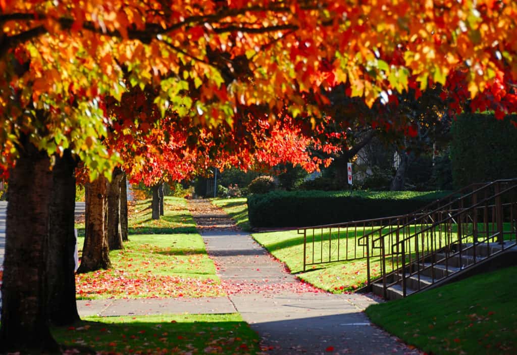 Overland Park Adoption & Foster Care Resources