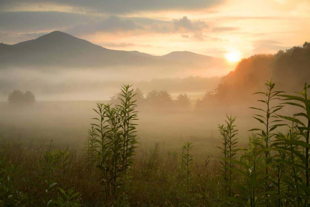 Tennessee