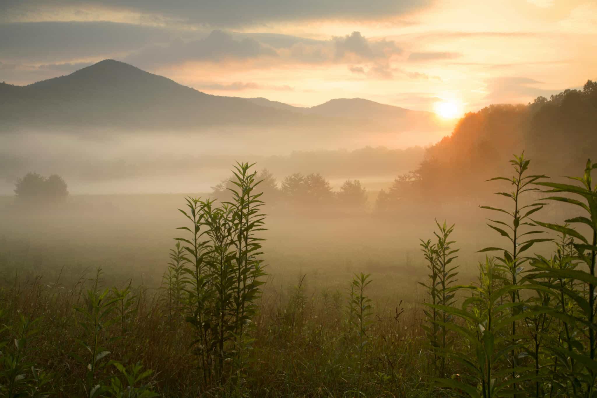 Tennessee