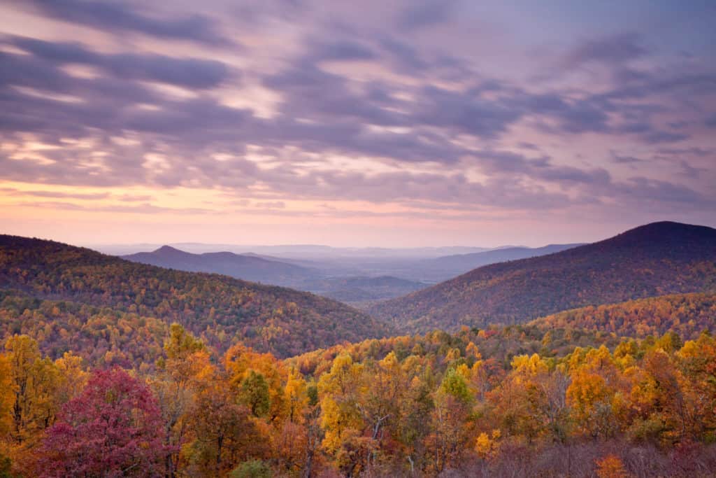 Virginia