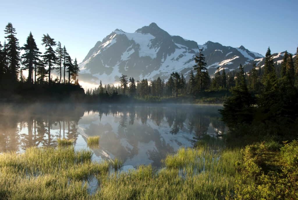 How to Adopt in Washington